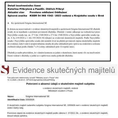 Kdo skutečně vlastní firmy? Evropské rozhodnutí komplikuje kontrolu moci i peněz